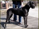 Aphrodita Ajtra - 9 months