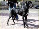 Aphrodita Ajtra - 9 months